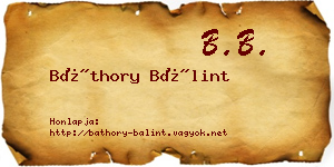 Báthory Bálint névjegykártya